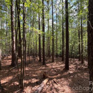 Photo #20 of 9212 Rustic Creek, Waxhaw, NC