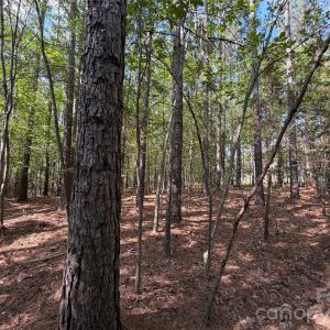 Photo #26 of 9212 Rustic Creek, Waxhaw, NC