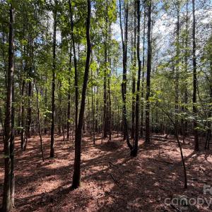 Photo #22 of 9212 Rustic Creek, Waxhaw, NC