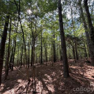Photo #32 of 9212 Rustic Creek, Waxhaw, NC