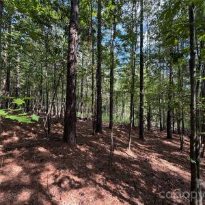 Photo #21 of 9212 Rustic Creek, Waxhaw, NC