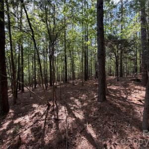 Photo #31 of 9212 Rustic Creek, Waxhaw, NC