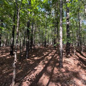 Photo #16 of 9212 Rustic Creek, Waxhaw, NC
