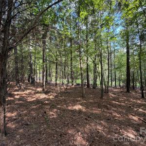 Photo #25 of 9212 Rustic Creek, Waxhaw, NC