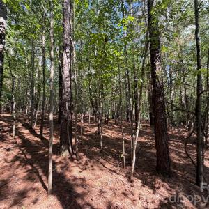 Photo #17 of 9212 Rustic Creek, Waxhaw, NC