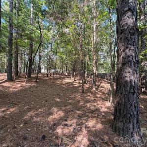 Photo #28 of 9212 Rustic Creek, Waxhaw, NC
