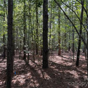 Photo #9 of 9212 Rustic Creek, Waxhaw, NC