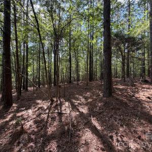 Photo #30 of 9212 Rustic Creek, Waxhaw, NC