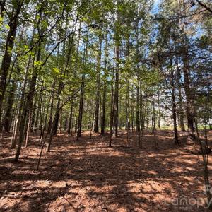 Photo #34 of 9212 Rustic Creek, Waxhaw, NC