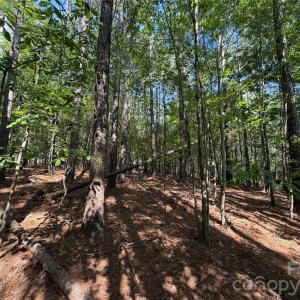 Photo #18 of 9212 Rustic Creek, Waxhaw, NC