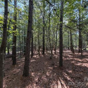 Photo #7 of 9212 Rustic Creek, Waxhaw, NC
