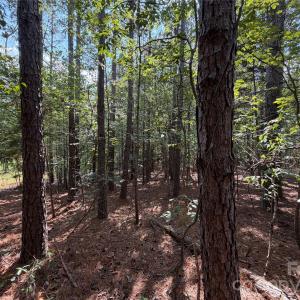 Photo #5 of 9212 Rustic Creek, Waxhaw, NC