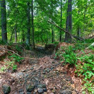 Photo #20 of Blanton, Sharon, SC