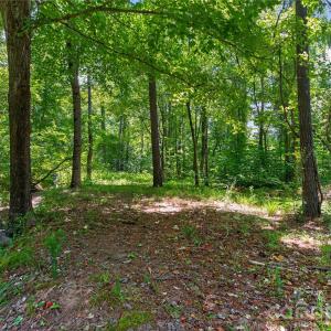 Photo #28 of Blanton, Sharon, SC