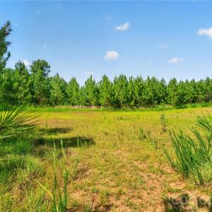 Photo #16 of Blanton, Sharon, SC