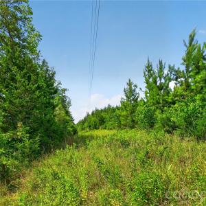 Photo #37 of Blanton, Sharon, SC