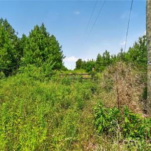 Photo #38 of Blanton, Sharon, SC
