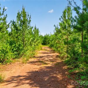 Photo #40 of Blanton, Sharon, SC