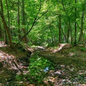 Photo #4 of Blanton, Sharon, SC
