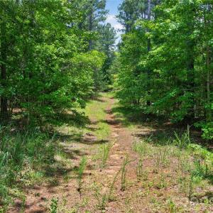 Photo #23 of Blanton, Sharon, SC