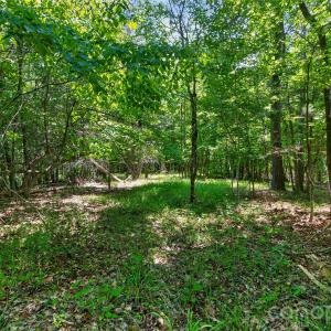 Photo #36 of Blanton, Sharon, SC