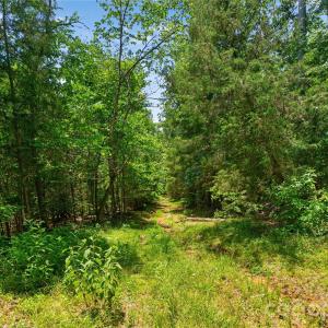 Photo #22 of Blanton, Sharon, SC