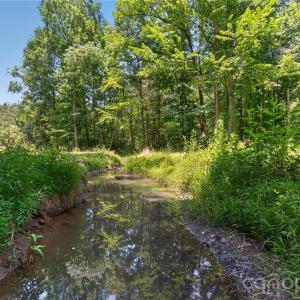 Photo #8 of Blanton, Sharon, SC