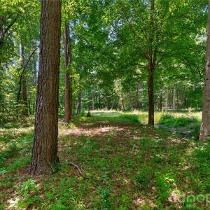 Photo #41 of Blanton, Sharon, SC