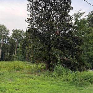Photo #7 of 8251 Addison, Harrisburg, NC
