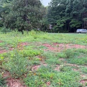 Photo #11 of 8251 Addison, Harrisburg, NC