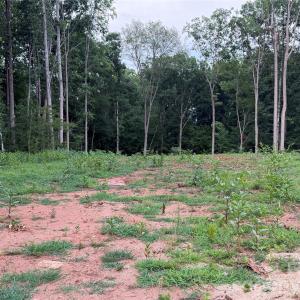 Photo #10 of 8251 Addison, Harrisburg, NC