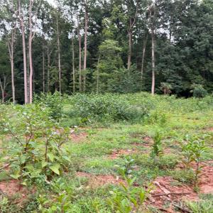 Photo #9 of 8251 Addison, Harrisburg, NC