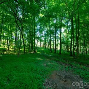 Photo #5 of Carson, Cleveland, NC