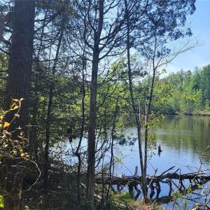Photo #2 of 721 Flamingo, Clover, SC