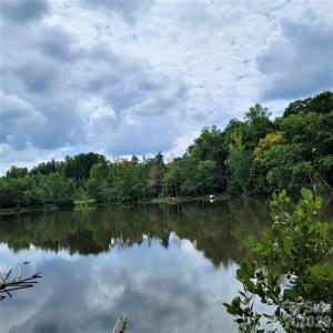 Photo #3 of 721 Flamingo, Clover, SC