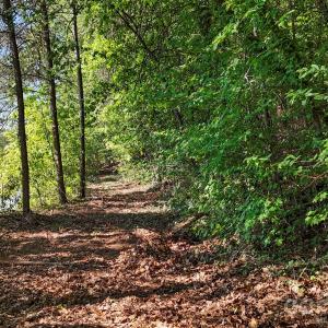 Photo #11 of Pinehaven, New London, NC