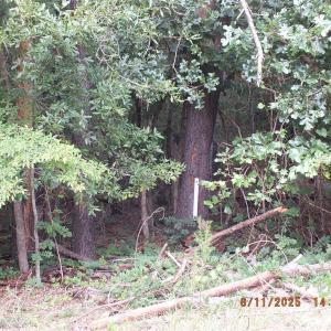 Photo #1 of Hardwick, Lancaster, SC