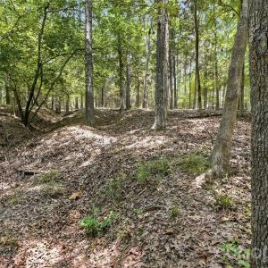 Photo #16 of TBD Marlette, York, SC