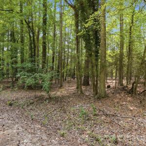 Photo #20 of TBD Marlette, York, SC