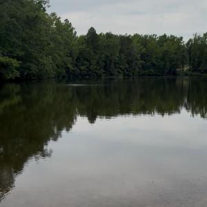 Photo #5 of 1980 Kadena, York, SC