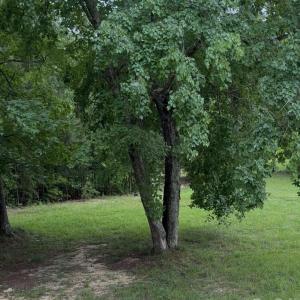 Photo #1 of 1980 Kadena, York, SC