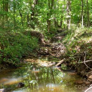 Photo #45 of Cool Branch, Carlisle, SC