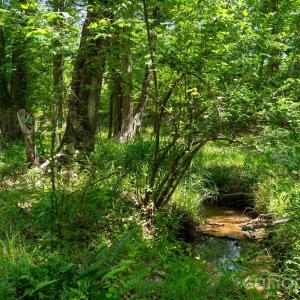 Photo #33 of Cool Branch, Carlisle, SC