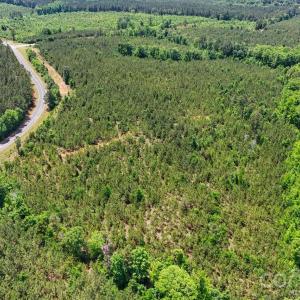 Photo #10 of Cool Branch, Carlisle, SC