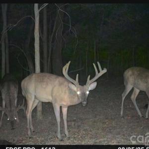 Photo #18 of 3888 Heathcliff, Concord, NC