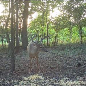 Photo #19 of 3888 Heathcliff, Concord, NC
