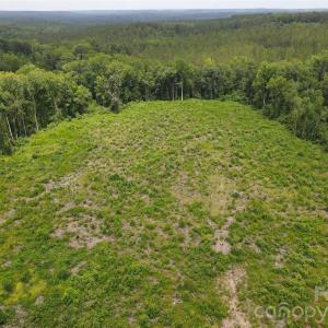 Photo #46 of 1726 Old Cheraw, Rockingham, NC
