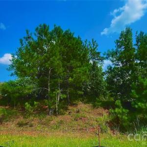 Photo #8 of 10288 Lakeshore, Lancaster, SC