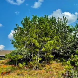 Photo #9 of 10288 Lakeshore, Lancaster, SC