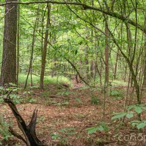 Photo #16 of Hwy 72, Carlisle, SC
